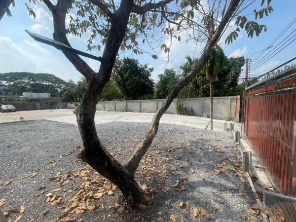 ���Թʹ������ �ѹ�����