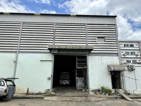 ���⡴ѧ �ҧ�͹��ا෾