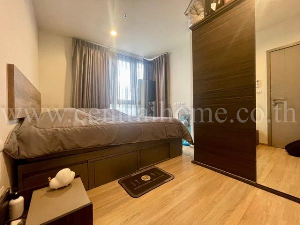 ��ºҧ�л� �� central2