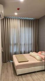 �����Ҥ͹� ��بѡ�