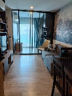 �͹� ���⢹�