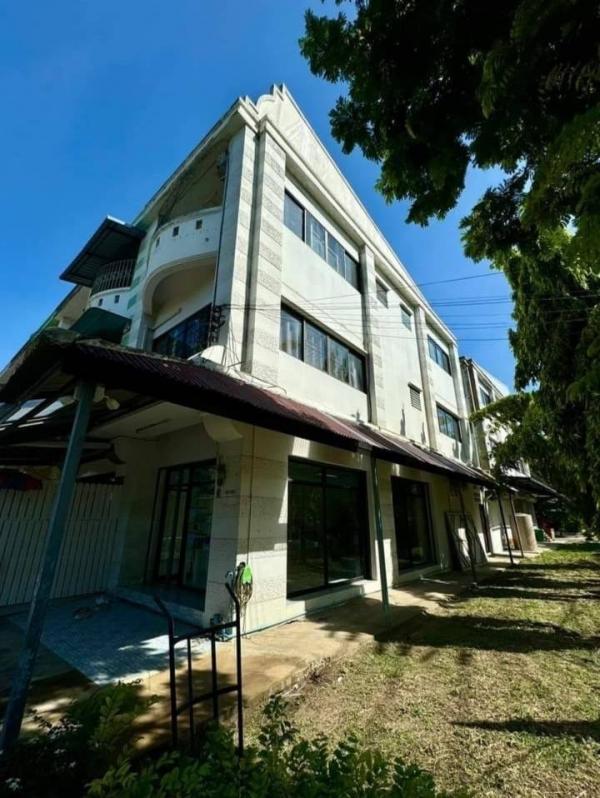 ��ا෾ �� All Living