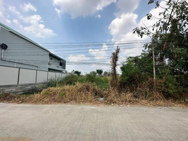 DD Asset �Ѻ��������ѧ�������Ѿ��