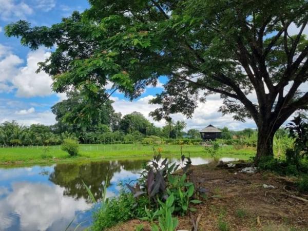 ���ͧ �� Sawasdee