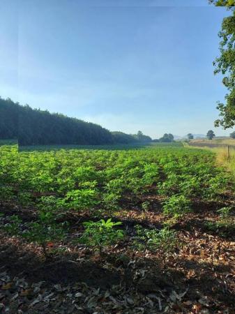 DD Asset �Ѻ��������ѧ�������Ѿ��