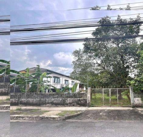 DD Asset �Ѻ��������ѧ�������Ѿ��