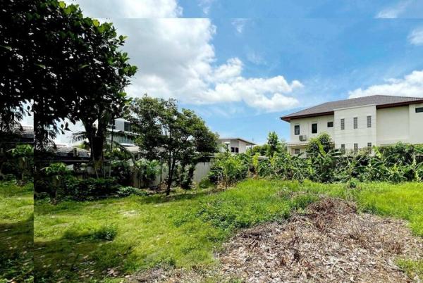 DD Asset �Ѻ��������ѧ�������Ѿ��