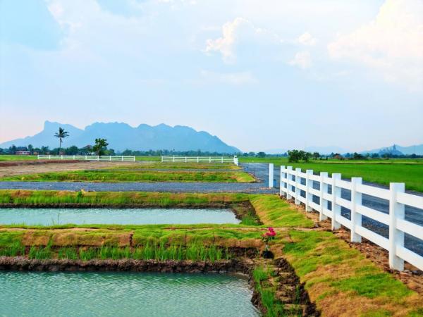 ที่ดิน ทำนา ที่ดิน ทำนา