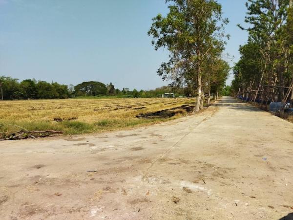 �����ҹ� �� naorinpl