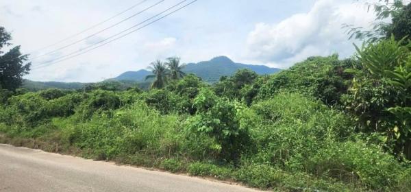 ���Թ �Դ����͹��յ 2,400,000 �ҷ