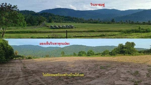 ����Ҫ� �� goodlada24