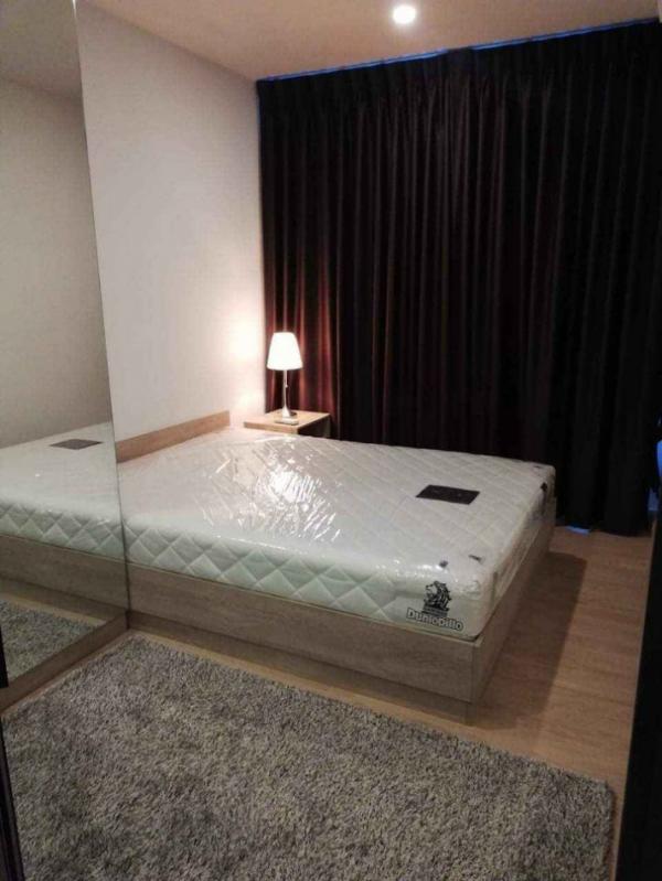 �͹����ͧ �� PP9REALESTATE