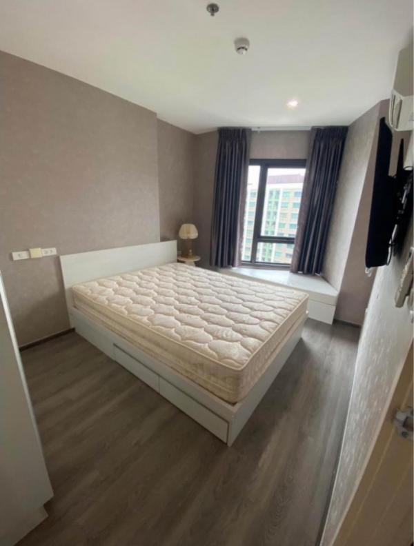 ��ا෾ �� PP9REALESTATE