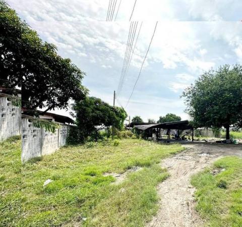 DD Asset �Ѻ��������ѧ�������Ѿ��