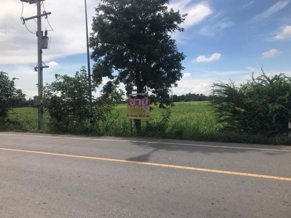 ������ �� zionasset1