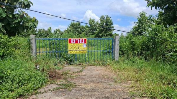 �͹�� �� zionasset1