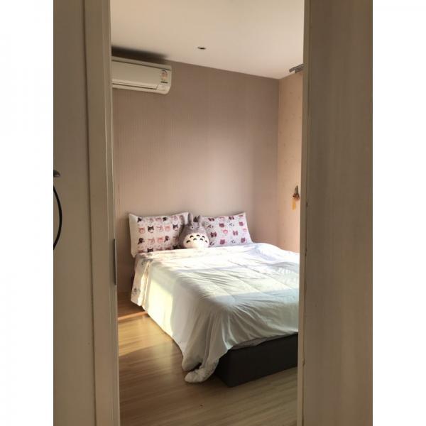 ��¾��� �� easythaihome