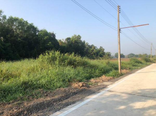 �����ҹ� �� mairudee