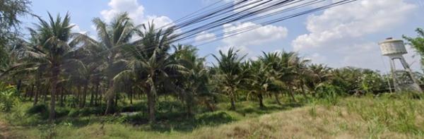 ���Թ�ǹ����� ��ᾧ�ʹ