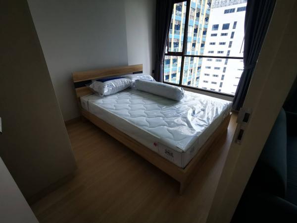 ����Ҫ��� �� easythaihome