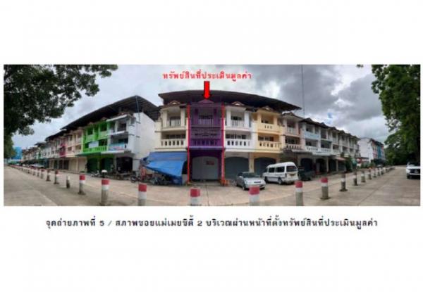 �Ѳ�� �� compos2566