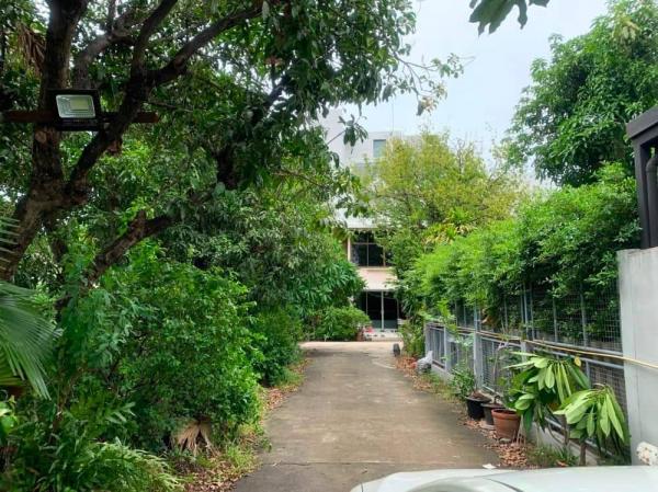 ���Թ sukhumvit