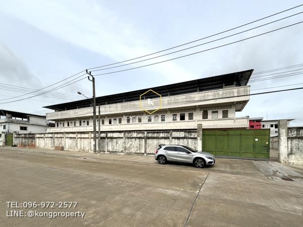 �ҧ�ع��¹ �� Kong property