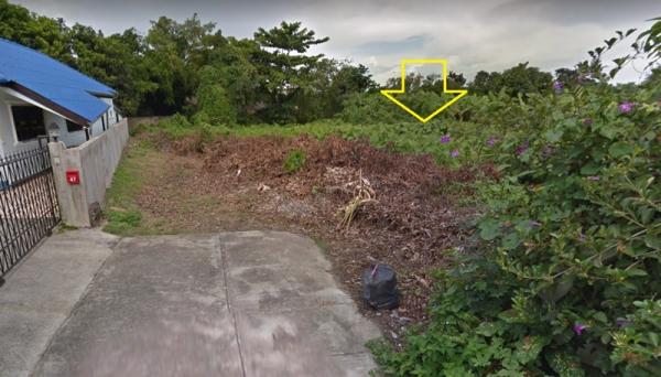 ���ͧ �� dreamyies