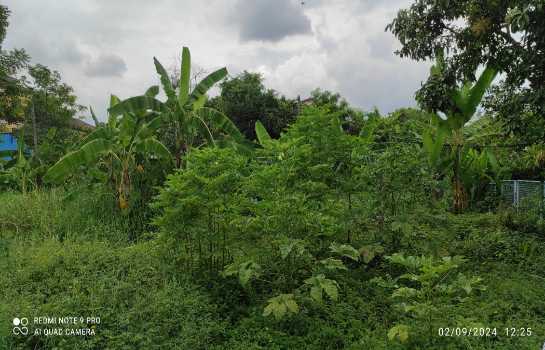 �ǹ��ǧ �� Asset X Property