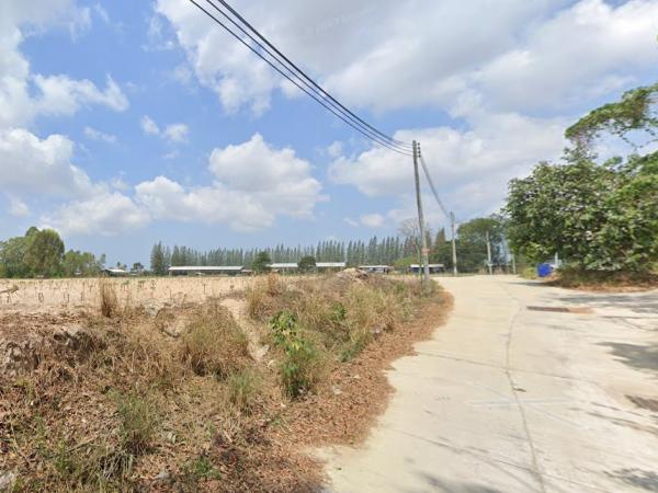 ที่ดิน ติดถนนคอนกรีต 3708 ตารางวา ที่ดิน ติดถนนคอนกรีต 3708 ตารางวา