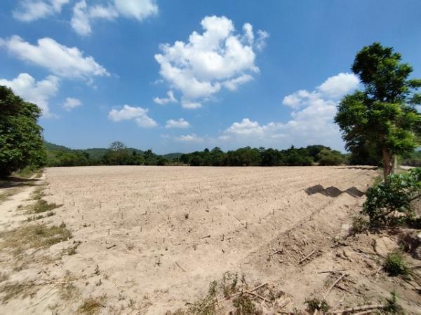 �ź��� �� kulchaya1