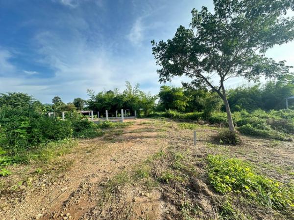 ขายที่ดิน นครนายก 150,000-300,000 บาท