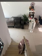 ��ǹ���� ���ͧ