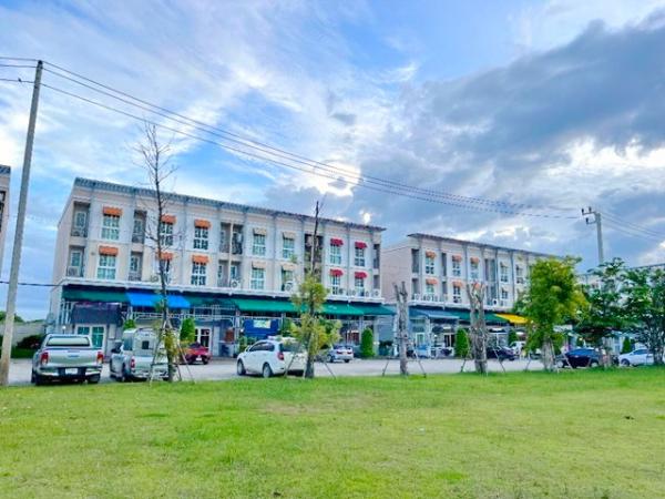 �ҧ��� �� nut.allentrepreneur