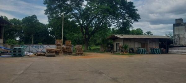 ����ӻҧ �� zionasset1