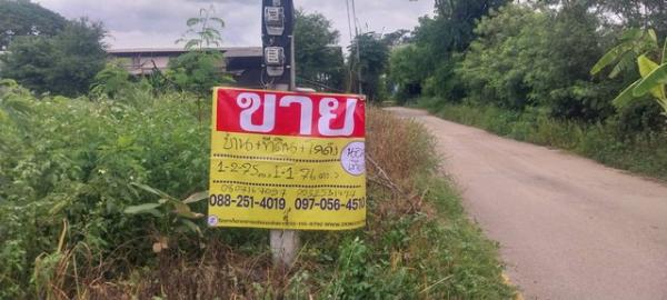 ����ӻҧ �� zionasset1