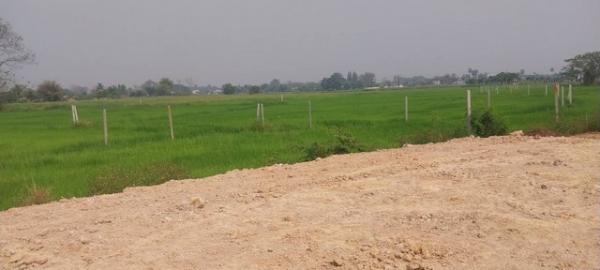 ����ӻҧ �� zionasset1