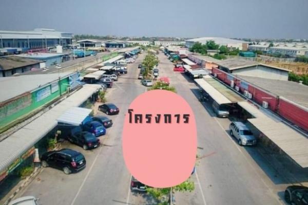 �չ���� �� nut.allentrepreneur