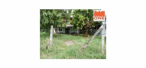 ��º�ҹ ���ͧ��¹ҷ��¹ҷ