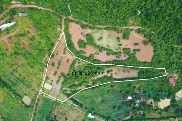 ที่ดิน lotus ที่ดิน lotus