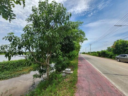 ˹ͧ���� �� Estate Corner