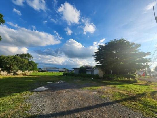 �ѭ���� �� Estate Corner