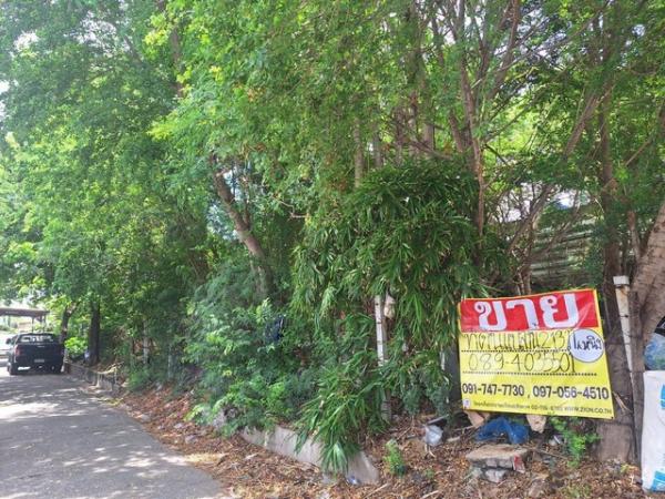 ������ �� zionasset1