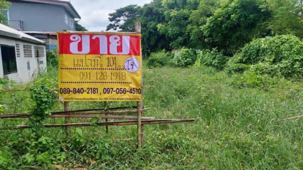 �شøҹ� �� zionasset1