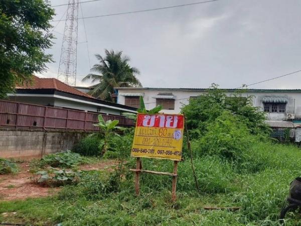 �شøҹ� �� zionasset1