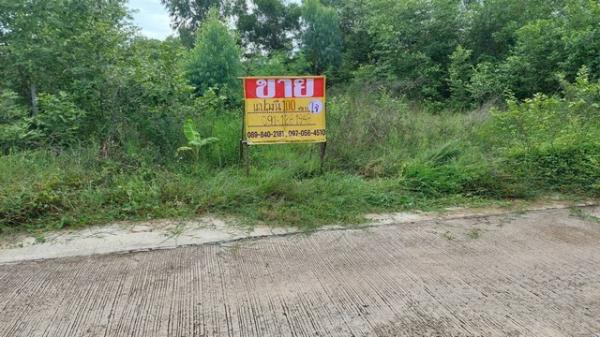 �شøҹ� �� zionasset1