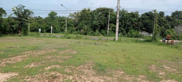 ������ �� zionasset1