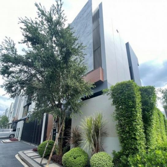 �ҧ�л� �� kulchaya1