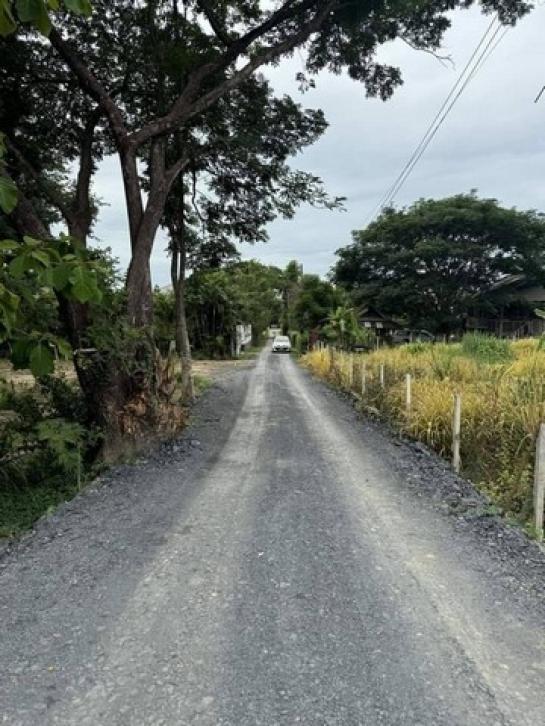 ���ͧ �� northern1