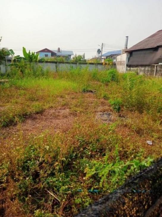 �ѹ���� �� onanong khumaphao